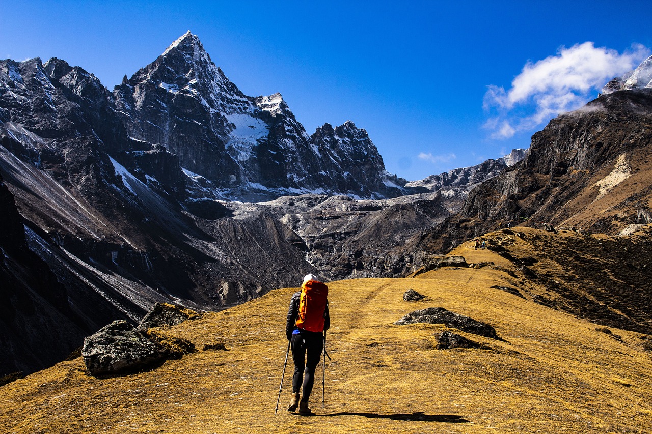 Mount Kailash Mansarovar Tour